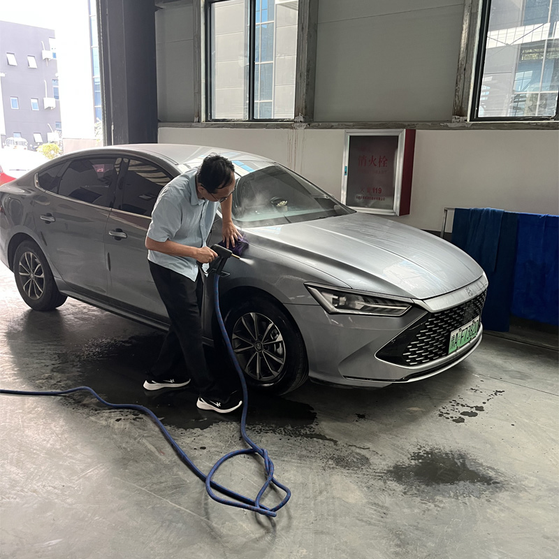 Gas-Heated Steam Cleaning Machine Dry-Wet Adjustable