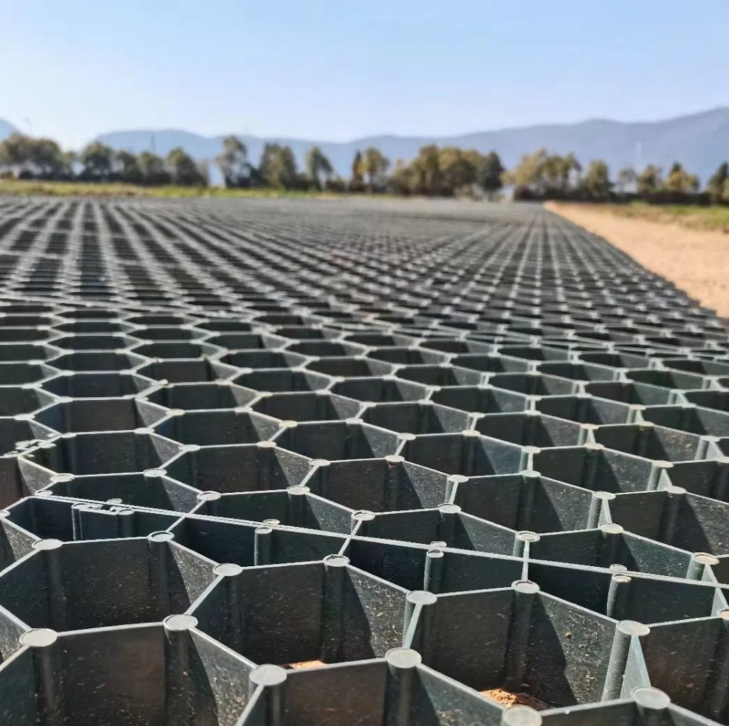 Low-Profile Grass Grid for Seamless Landscape Aesthetics