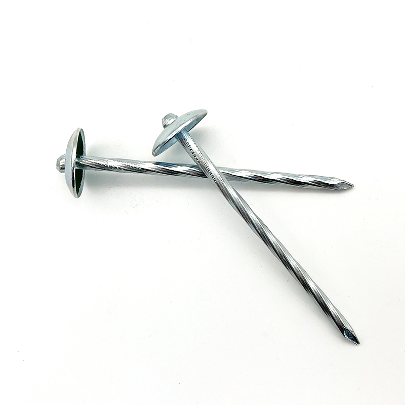 Ring Shank Nails Galvanized Roofing Nail Construction Building Quick Quotation