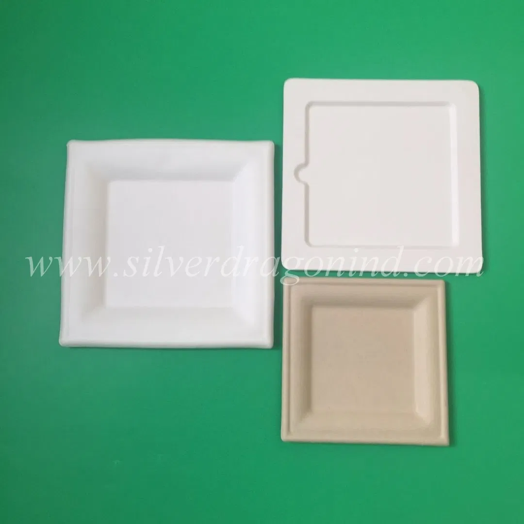 Chinese Biodegradable Sugarcane Bagasse Paper Tableware