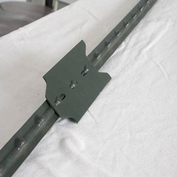 Hot Product Grassland Farm Used T Type T Posts for Euro Market