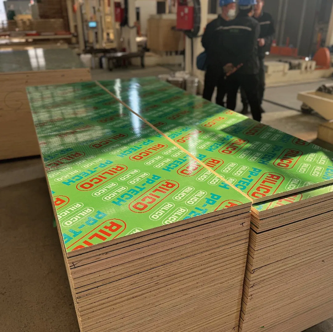 Anti-Corrosion Rigid Surface PP Film Laminating Green PP Plastic Plywood