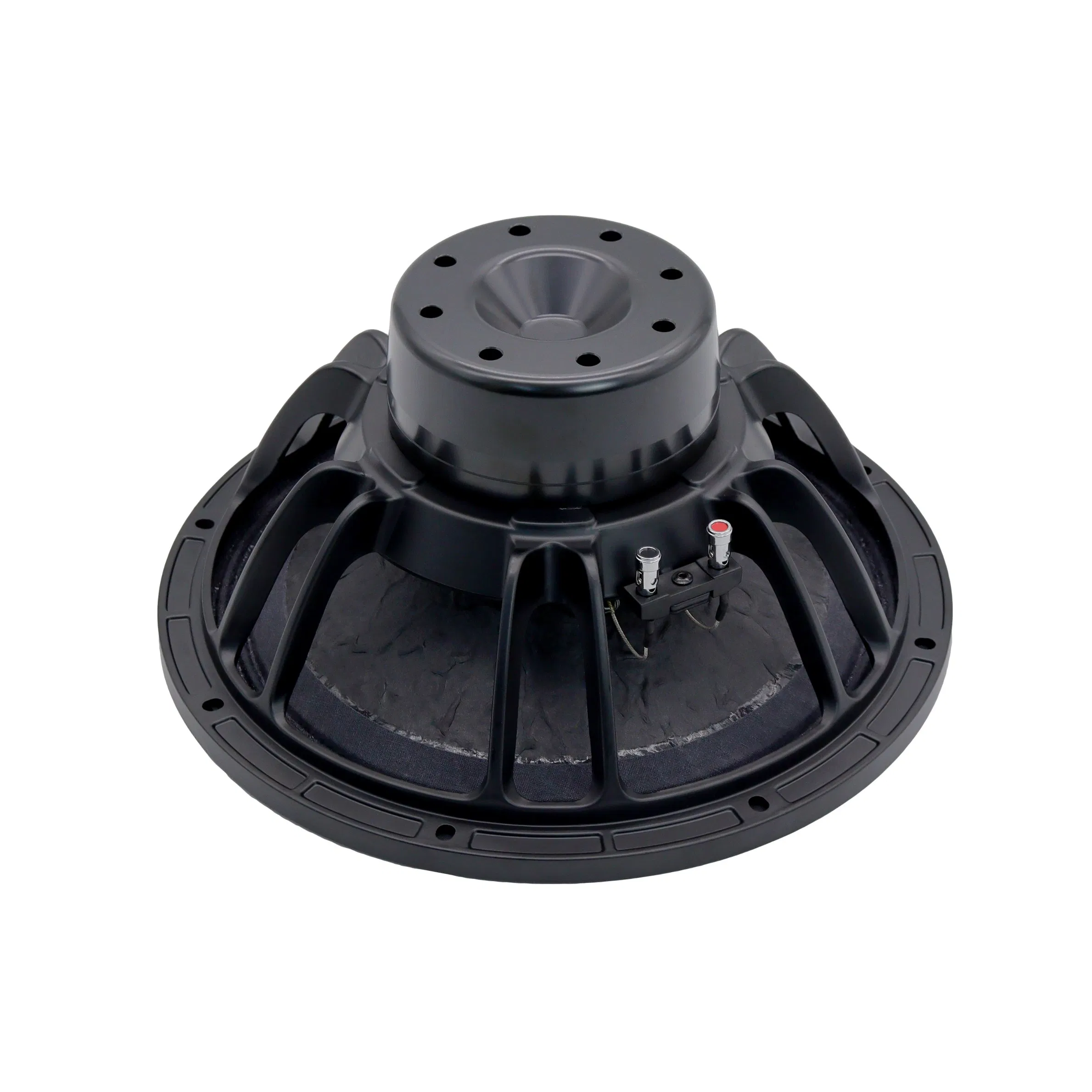 12inch Neodymium Midbass Speaker Best Sound AES900W for Line Array Speaker OEM