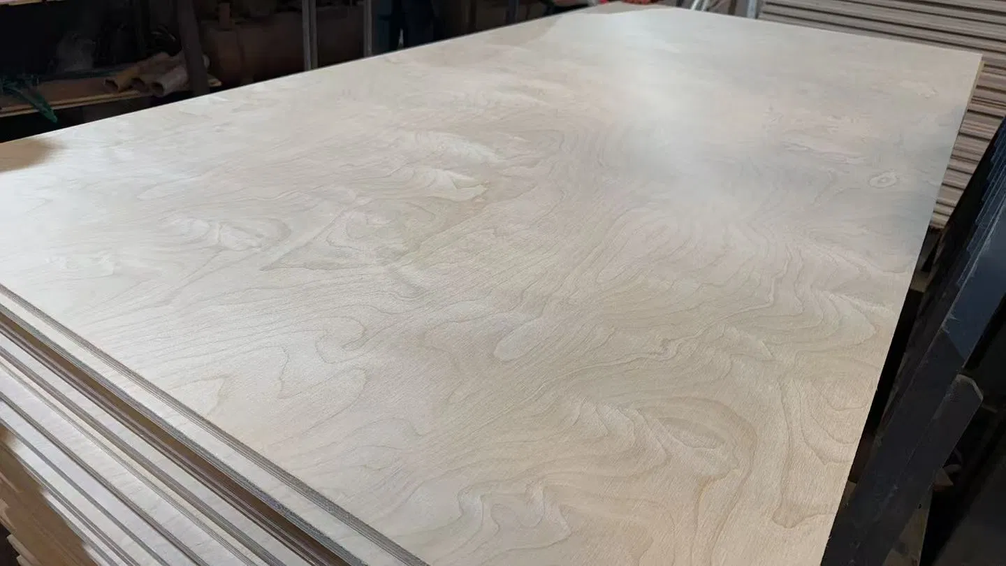Full Eucalyptus Core Birch Faced Fire Resistant Class B / Class a Wall Ceiling Board Commercial Plywood