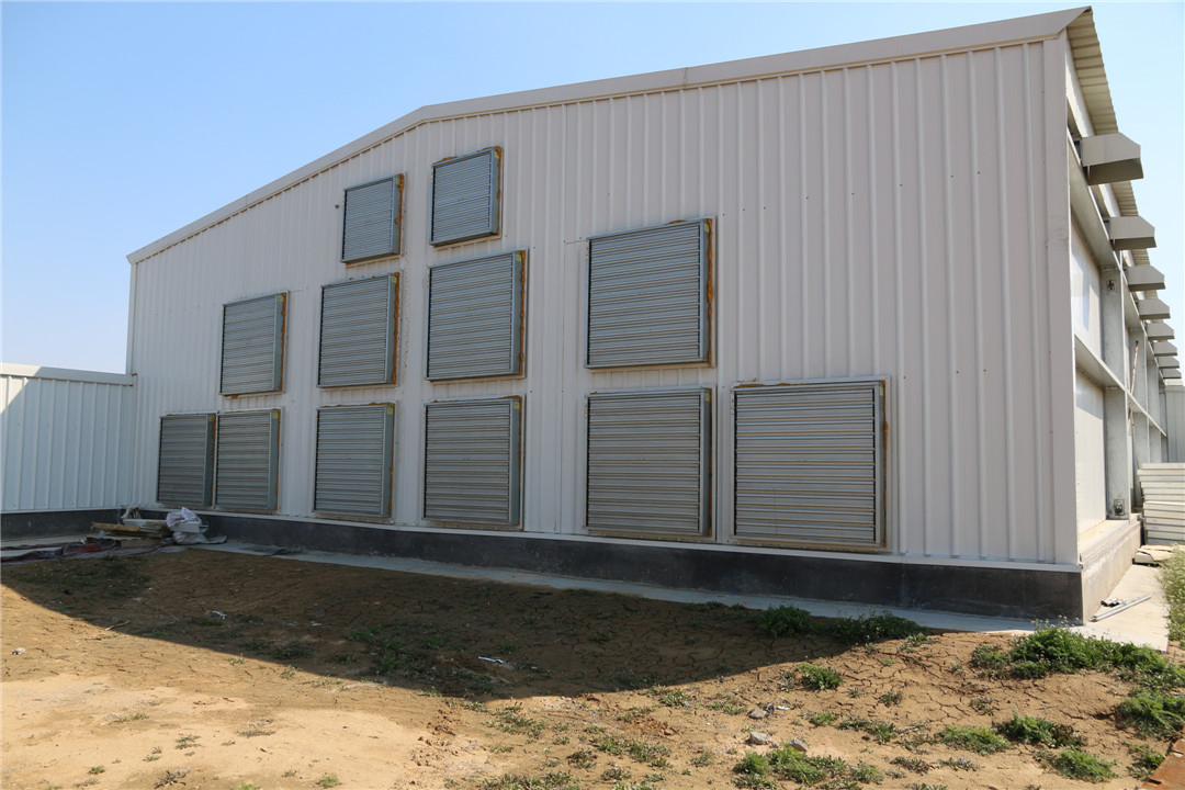 Prefab Steel Structure Laying Hen House Chicken House