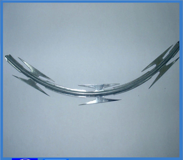 Concertina Razor Barbed Tape Wire (CBT-65)