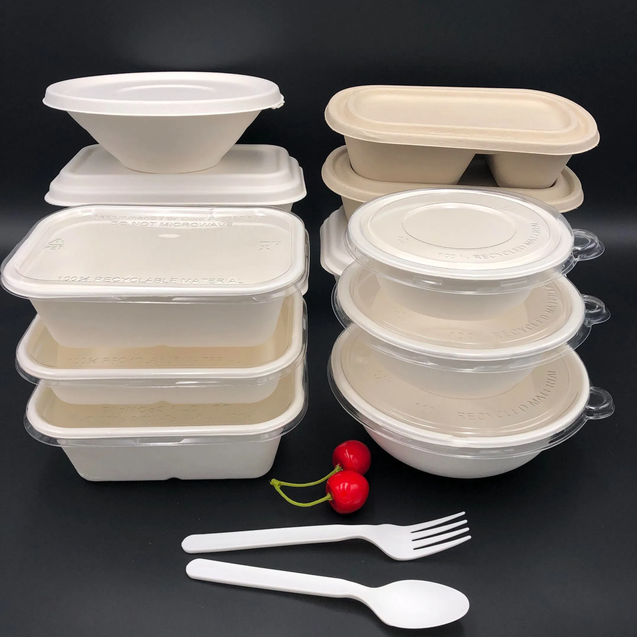 Biodegradable Disposable Bagasse Pulp Square Container for Food Packaging and Delivery