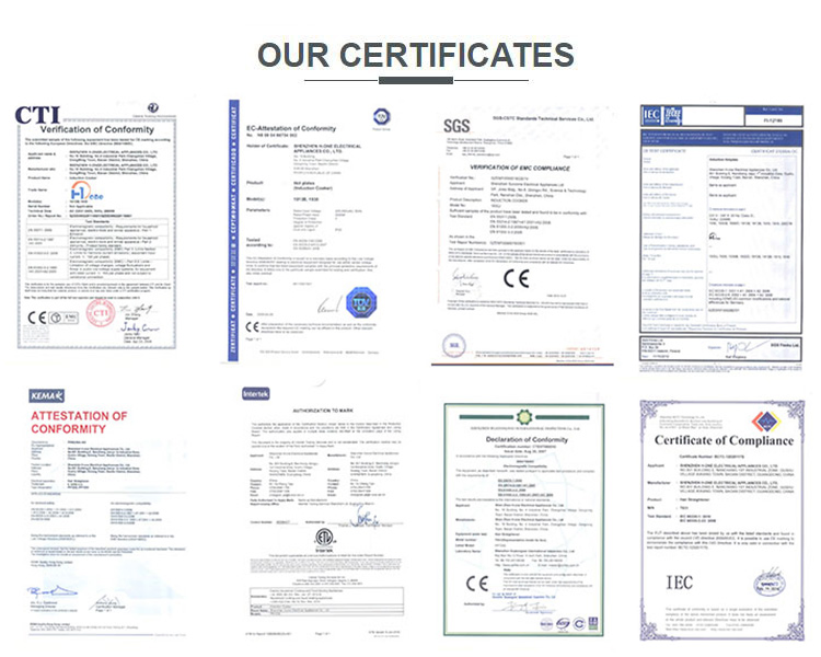 LCD and Mch Flat Iron Hair Straightener with Model 9110 CE RoHS Certificated