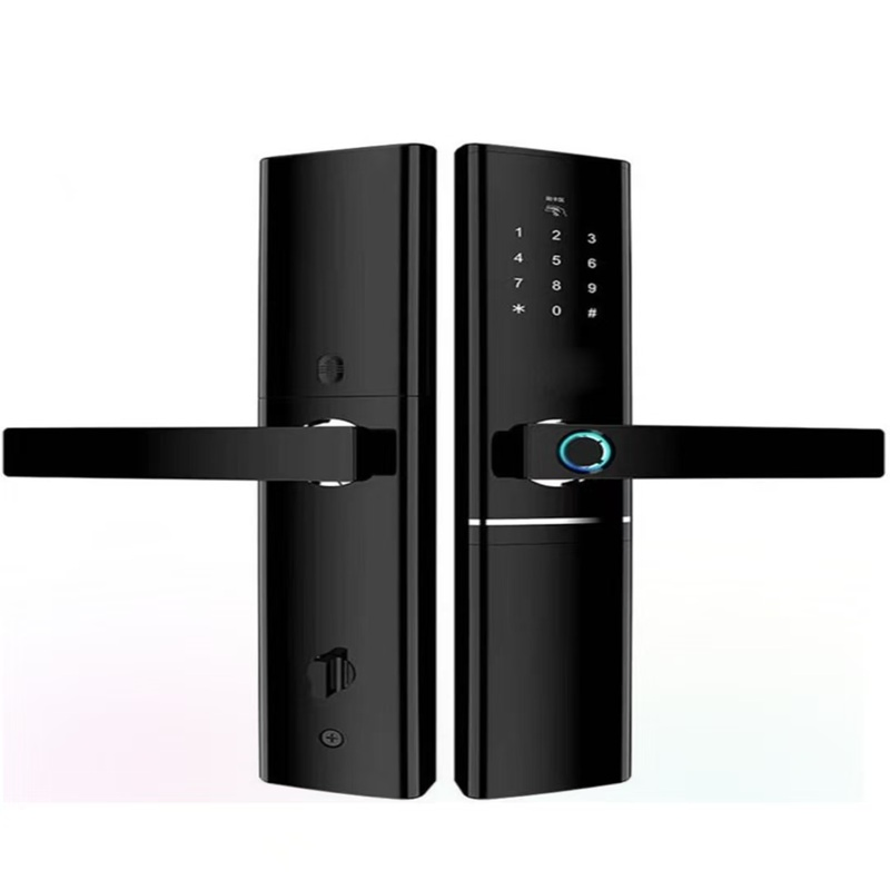 Industrial-Strength Anti-Violence Smart Door Lock
