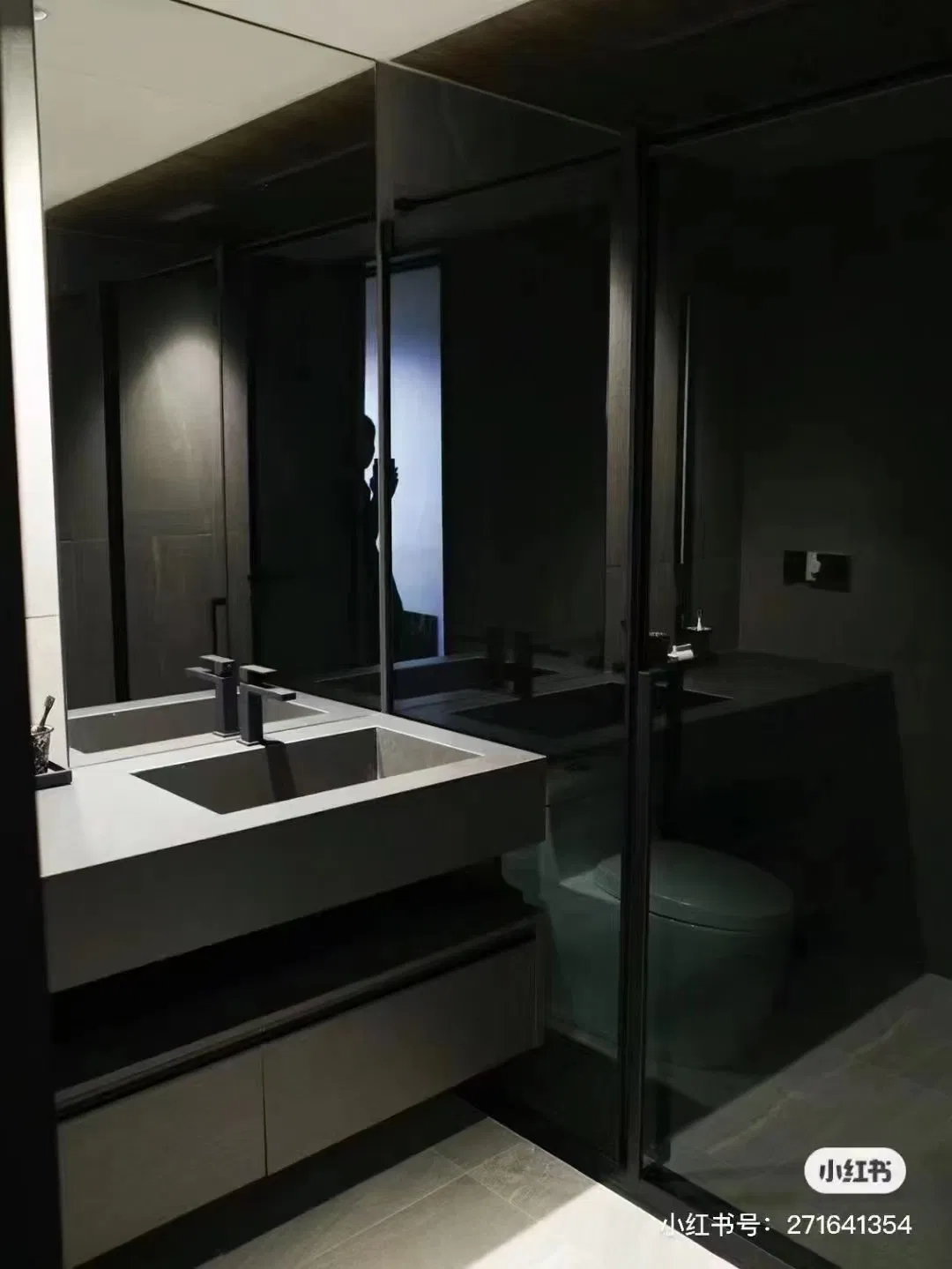 3mm-10mm Dark Grey Black Annealed Float and Dark Grey Reflective Glass