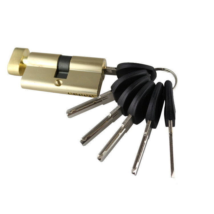 Euro Profile Brass Master Key Cylinder Lock Body Cylinder Door Lock