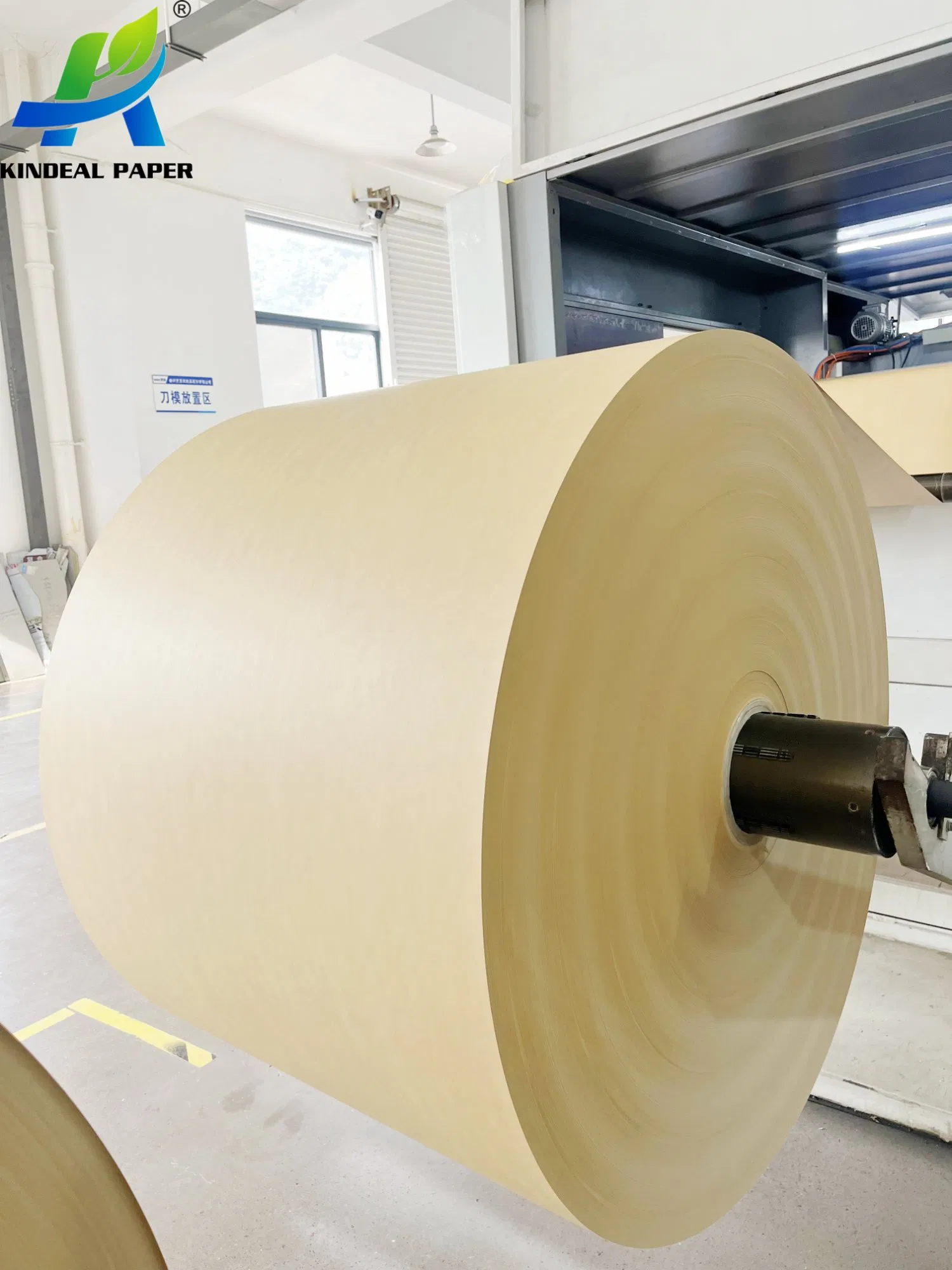 PE Coated Kraft Paper Roll