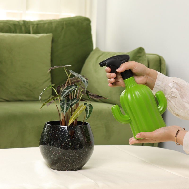Stylish 1L Plastic Watering Can for Cactus Care