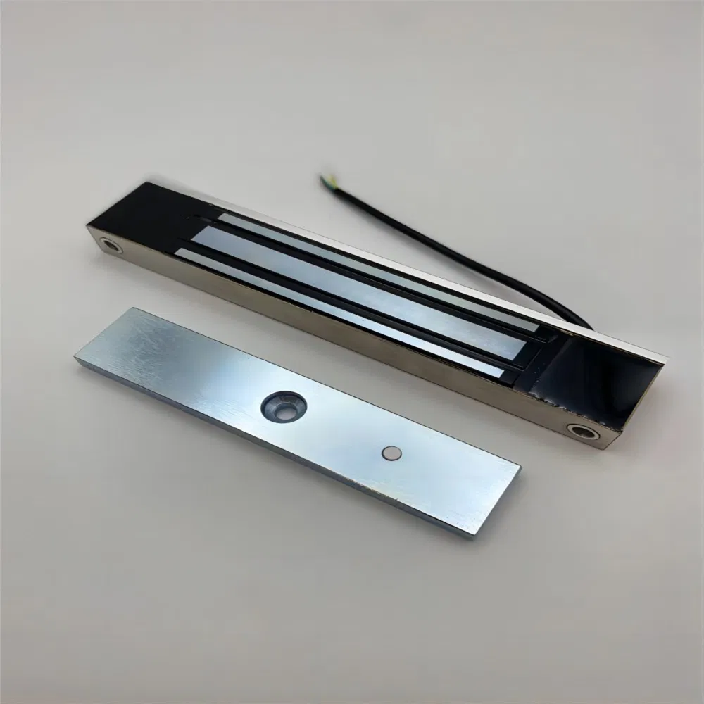 Hot Sale Double Door Delay Feedback Magnetic Lock