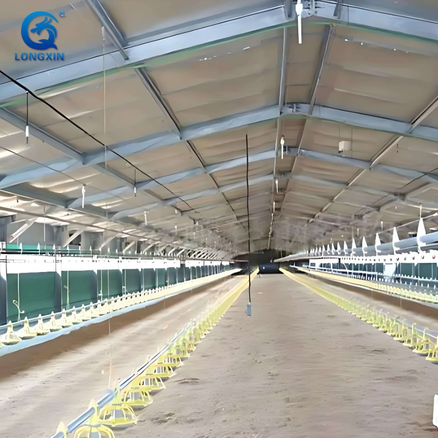 Longxinweiye Steel Works Broiler Poultry Farm House Design Egg Chicken House Building for Layers