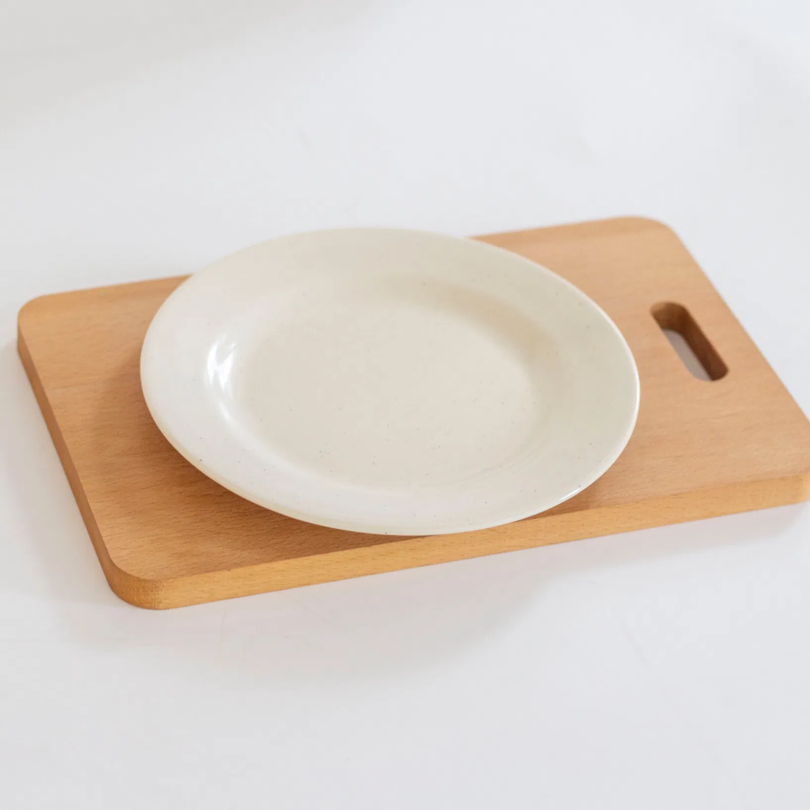 8" Melamine Plate for Camping