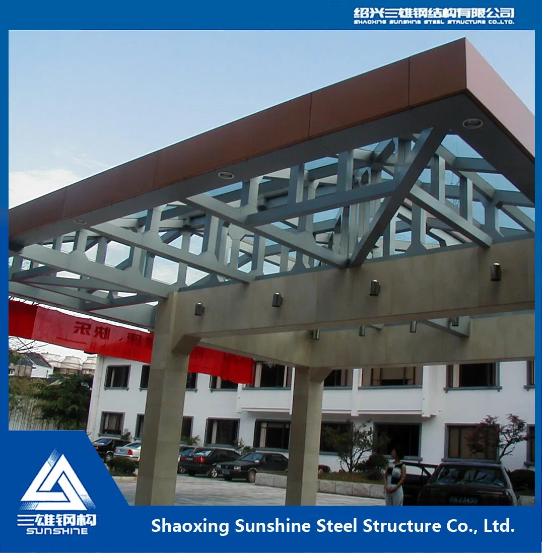Modern Steel Framed Roof Solutions for Trendy Architecture