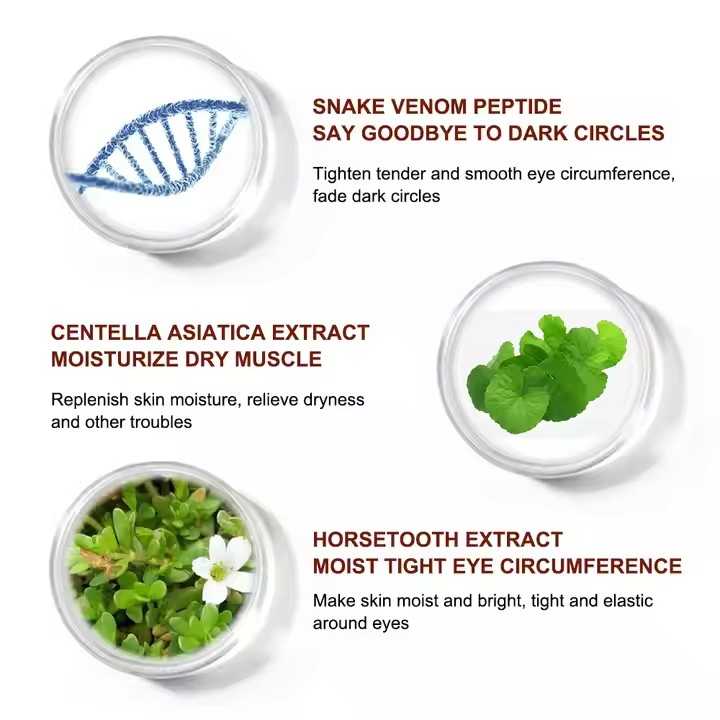 Hot Sale Private Label Instant Anti Wrinkle Eye Bags and Dark Circle Removal Eye Cream for Eyes Care