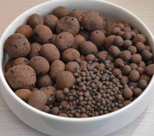 Expanded Clay Dor Seeding for Hydroponic