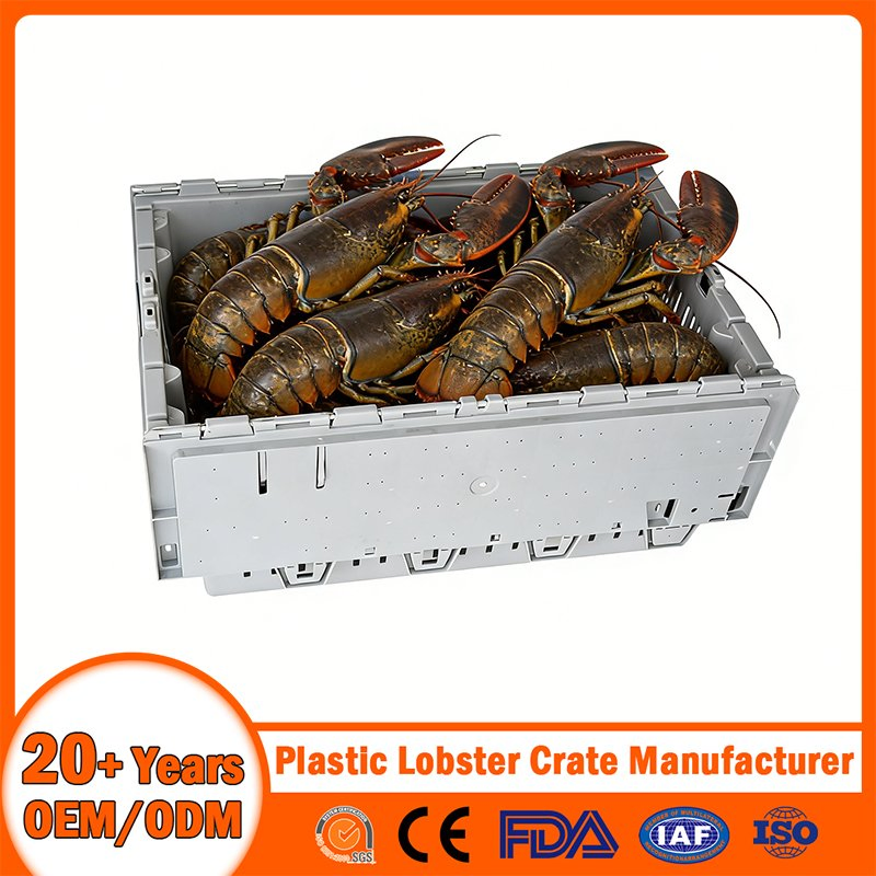 Stackable Nestable Ventilation/Drainage/Solid/Vented/Perforated Handheld Plastic Lobster Crate with Drainage Hole/Bale Arm/Hand/Divided for Seafood Transport