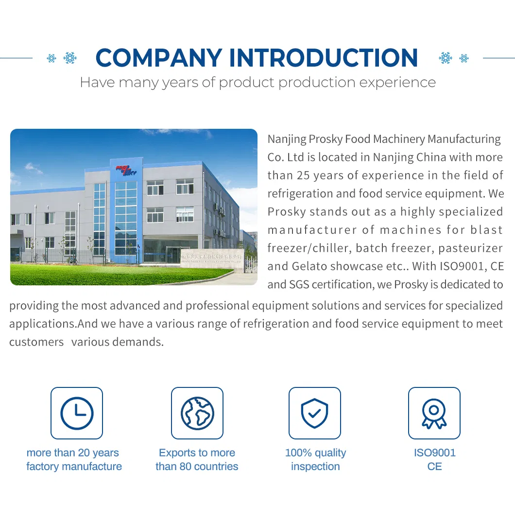 Prosky Portable Small Gelato Display Freezer Fridge Machine Ice Cream Cake Showcase