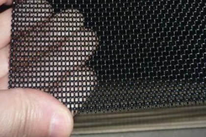 High Quality Crimped Mesh Screen Stainless Steel Metal Mesh