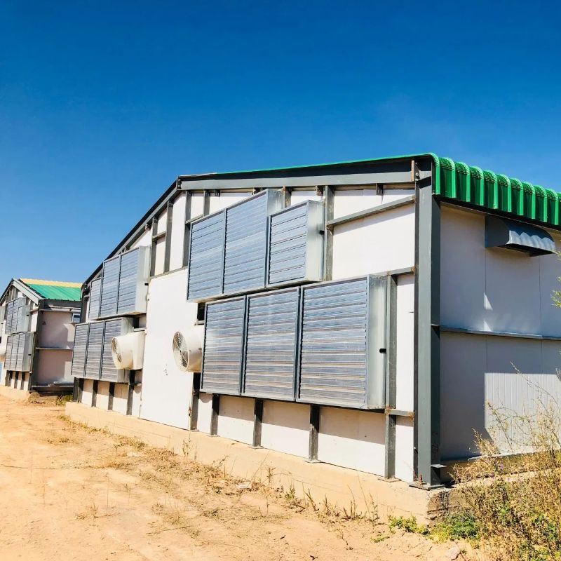 Well Ventilated Poultry Farm Chicken House