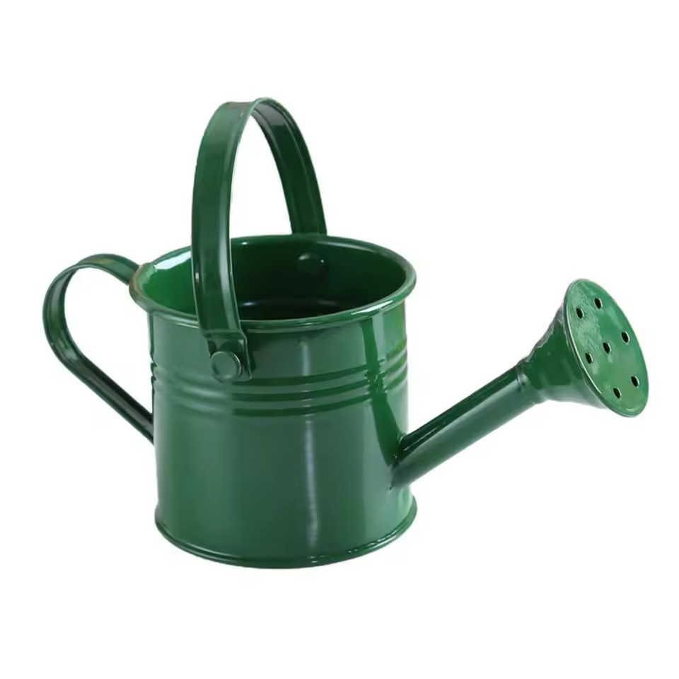 Metal Watering Can Garden Flower Kettle Mini Small Water Spraying Pot Sprinkler with Large Capacity for Kids Adult