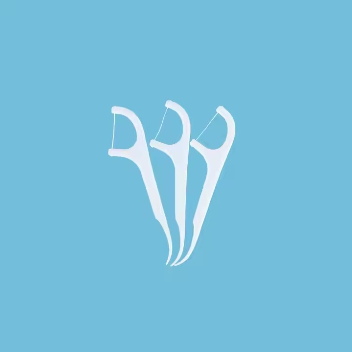Eco Friendly Biodegradable Dental Floss Picks
