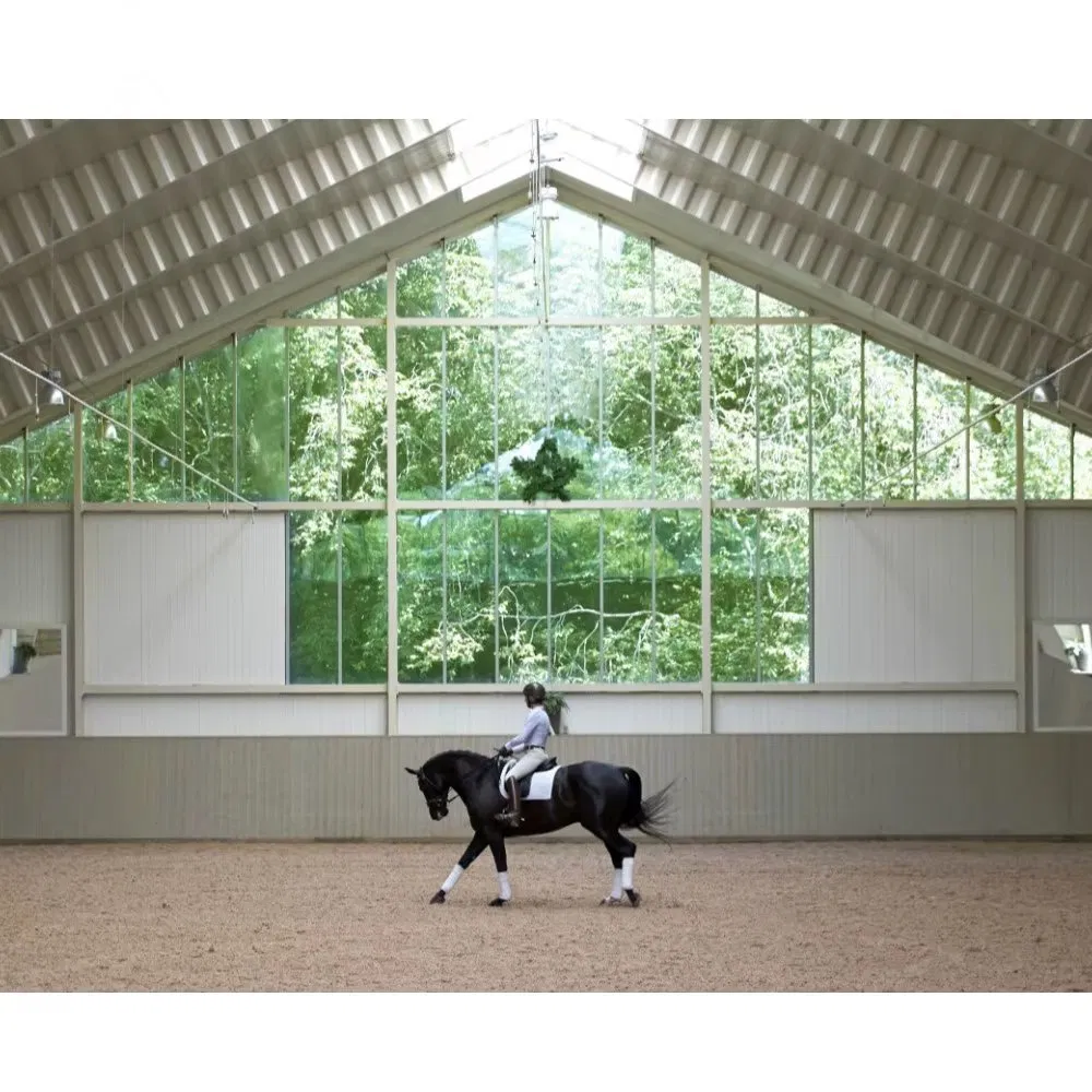 Metal Free Span Light Steel Structure Frame Building Prefabricated Indoor Horse Riding Arena Barn Shed House Hall Design