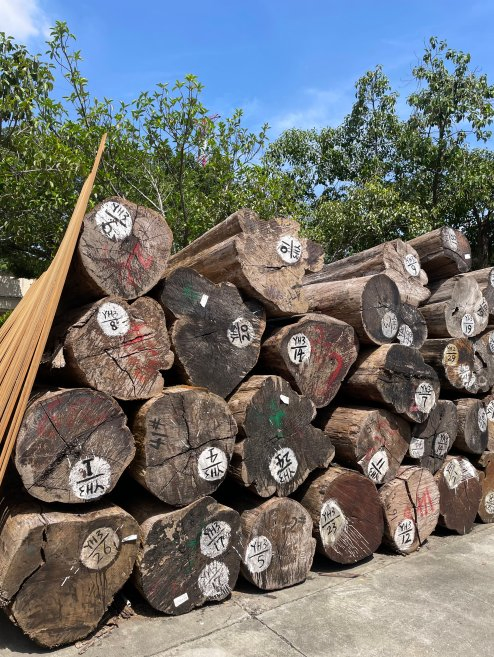 Imported Teak Logs From Myanmar That Are Not Easily Deformed or Cracked
