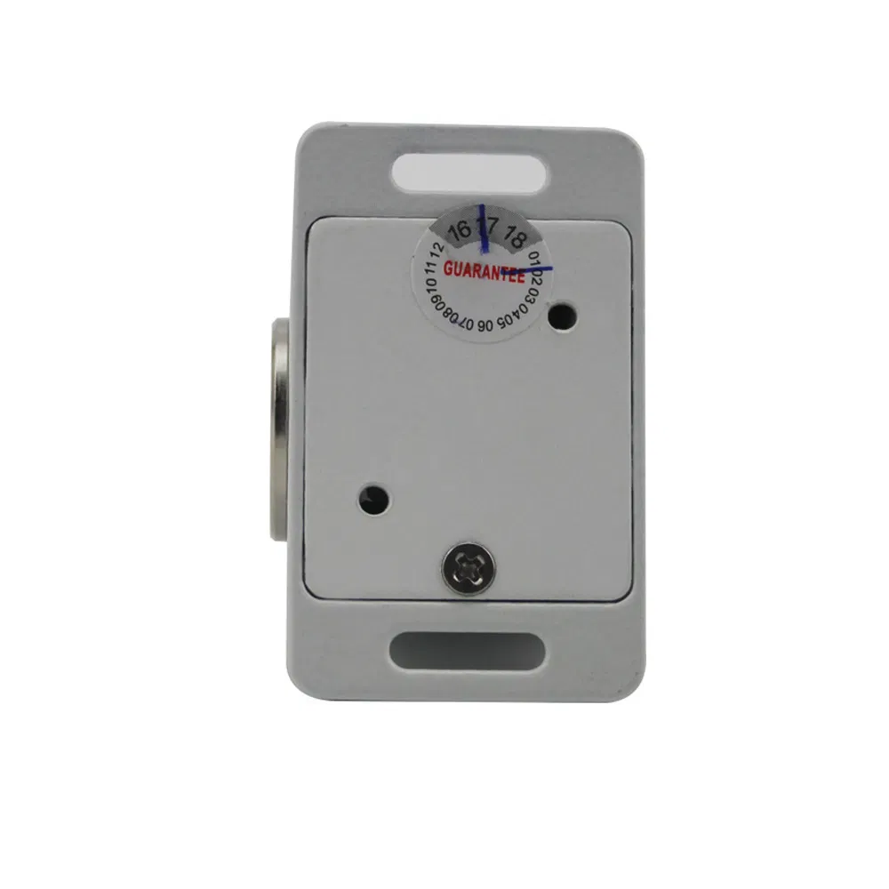 Plenty Functions Multi Purpose Multiple Installation Small Signal Output Door Handle Magnetic Lock