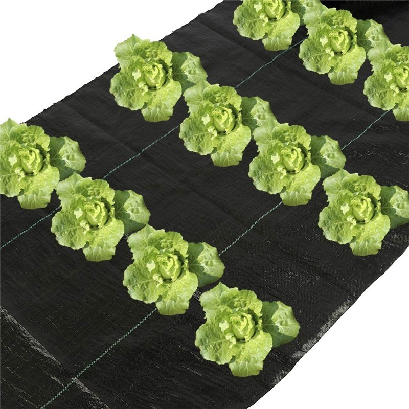 PP Fabric Anti Weed Mat Tela Ground Cover