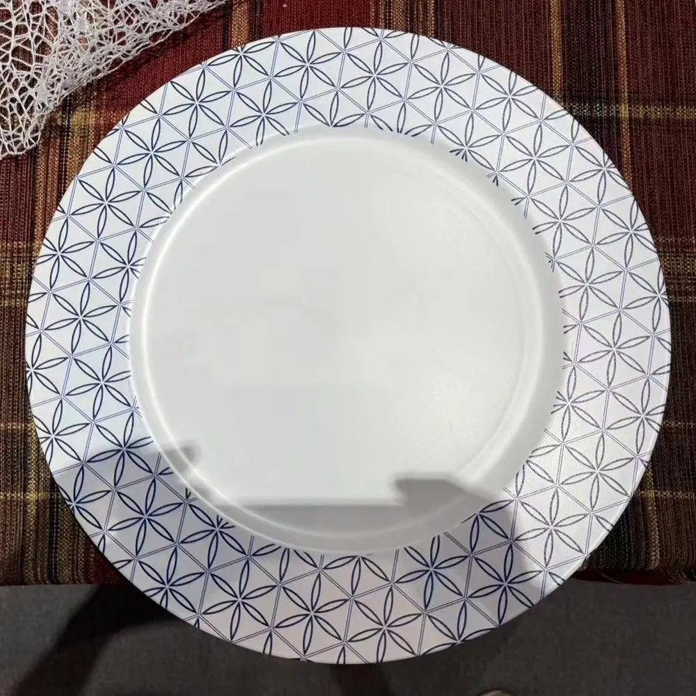 Color Options 340g Net Weight Disposable Plastic PP Material Buffet Charger Plate