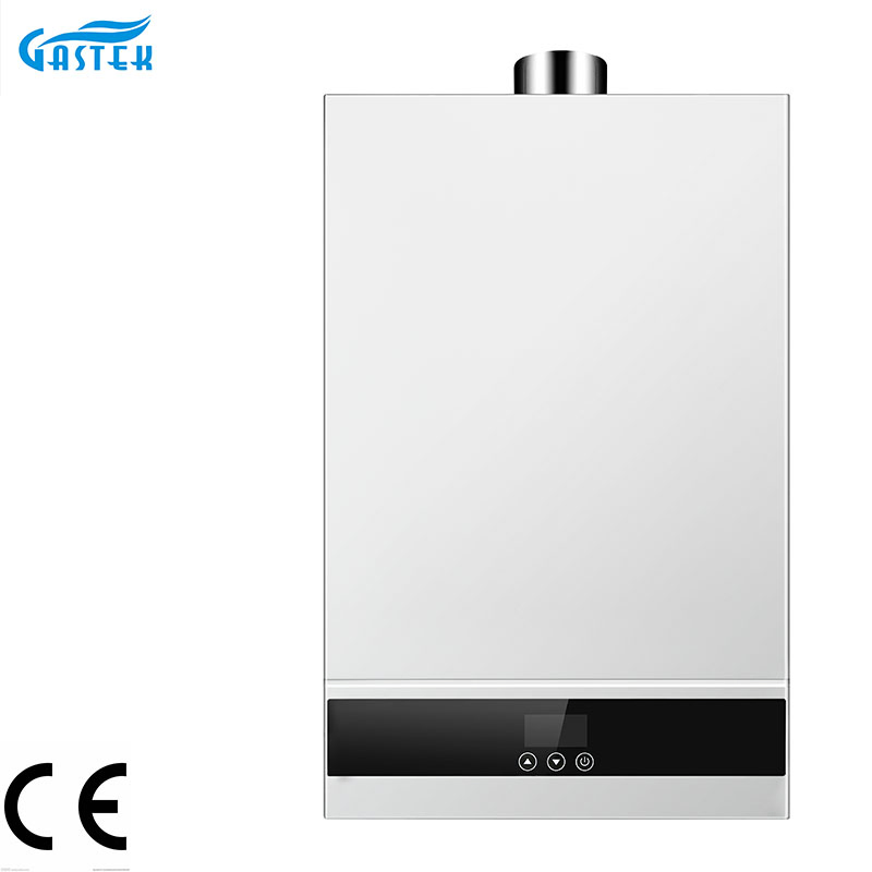 Energy-Efficient 12L Compact Gas Water Heater for Homes