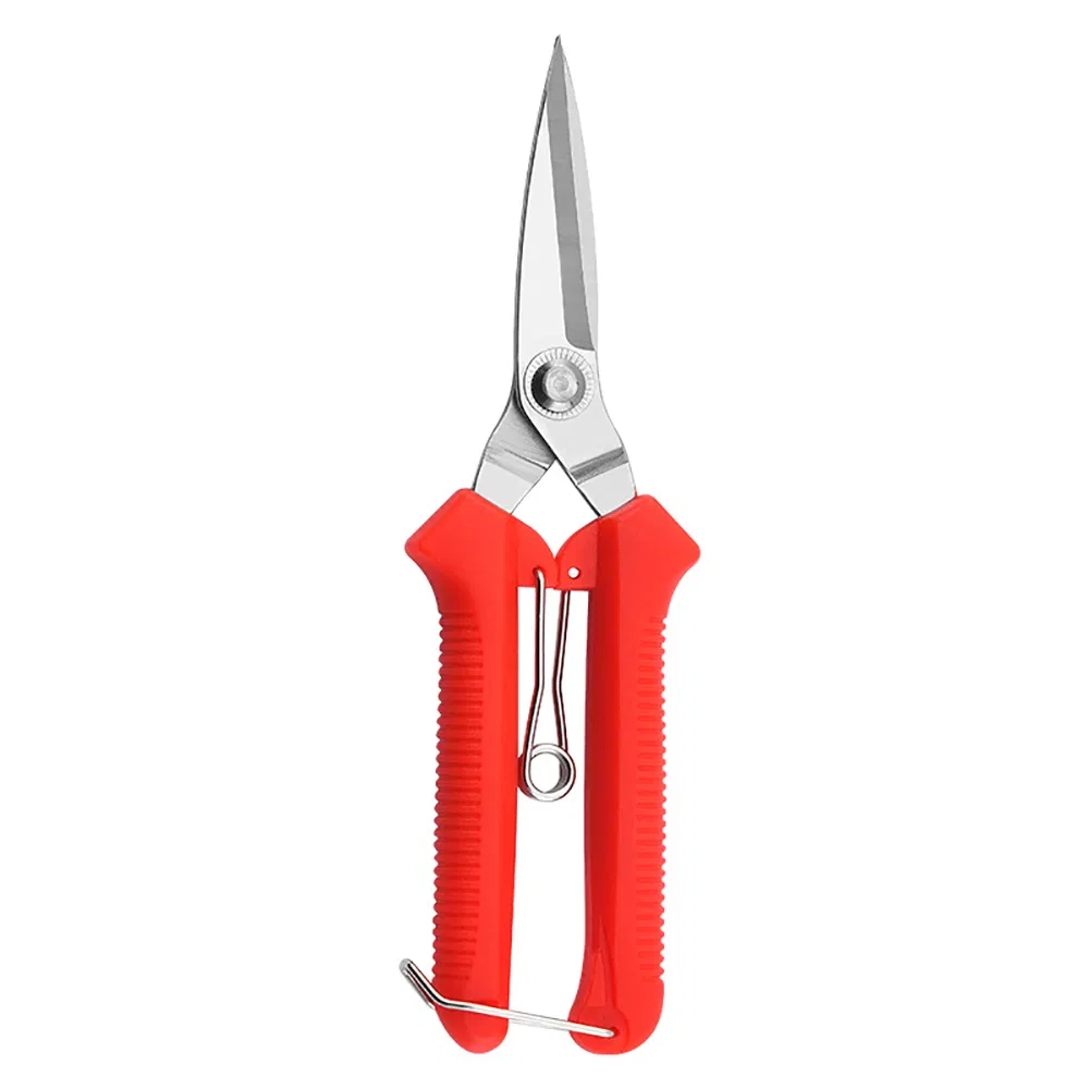 Stainless Steel Pruning Shears Extra Long Edge Fruit Tree Bonsai Garden Sharp Scissors Wyz21618