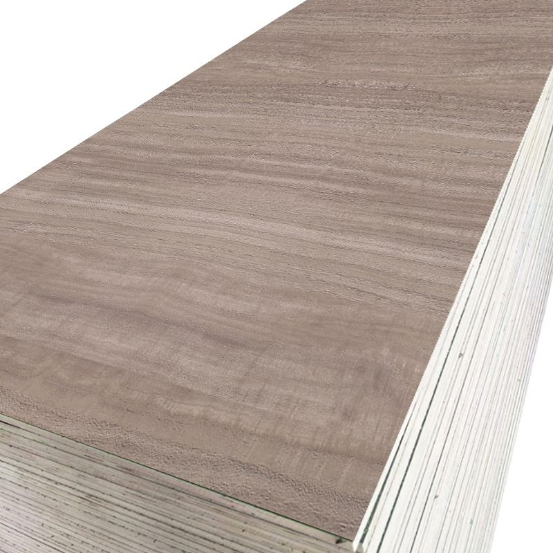 Professional Manufacture 18mm Waterproof Laminated UV Coated Full Eucalyptus Plywood for Furniture/Decoration