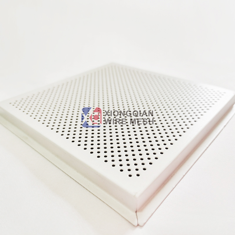 Metal Suspended Ceiling Perforated Aluminum G-Shaped Strip Ceiling