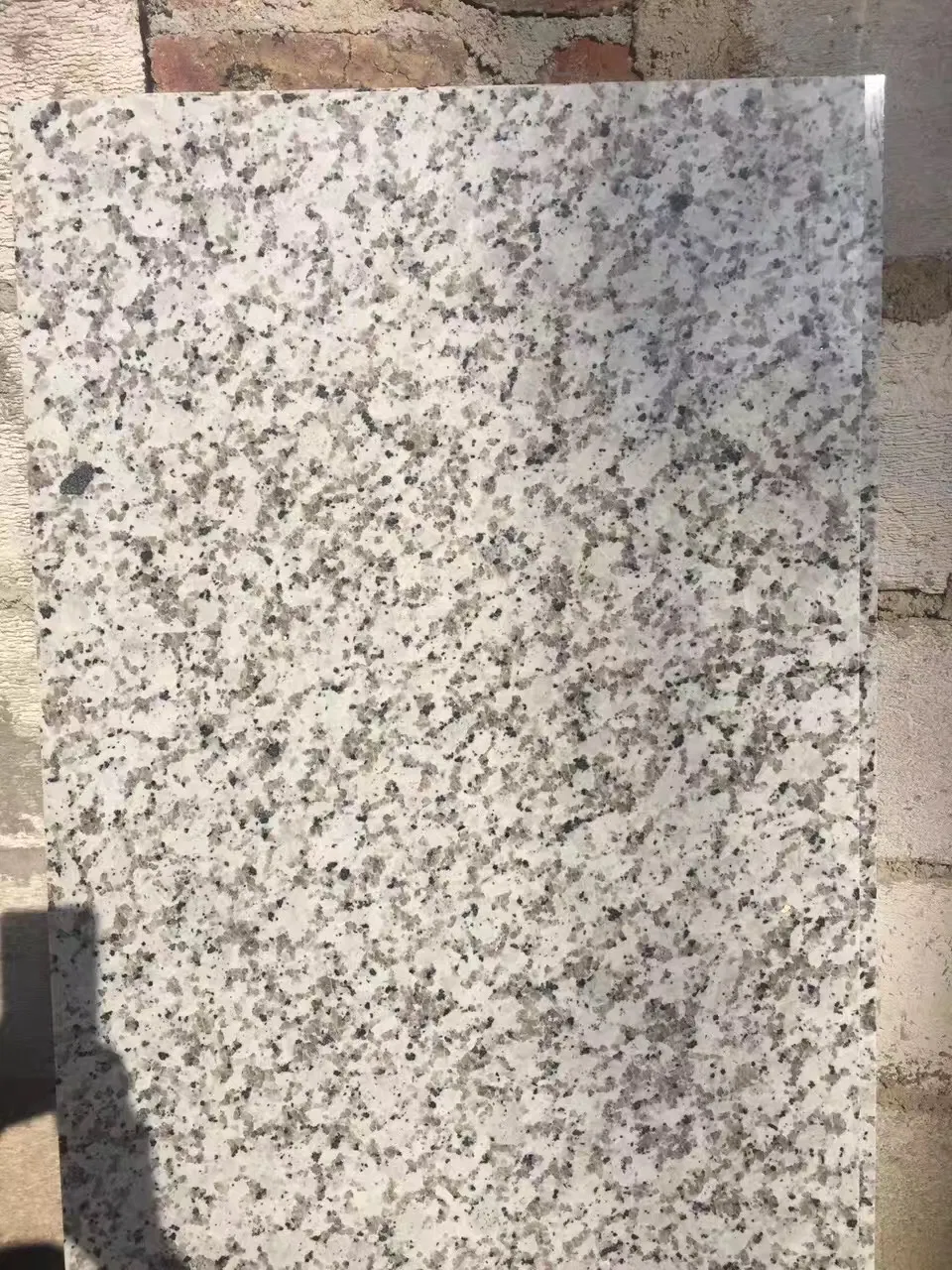 Hot Sale Natural White Flower Polished Granite for Train Station