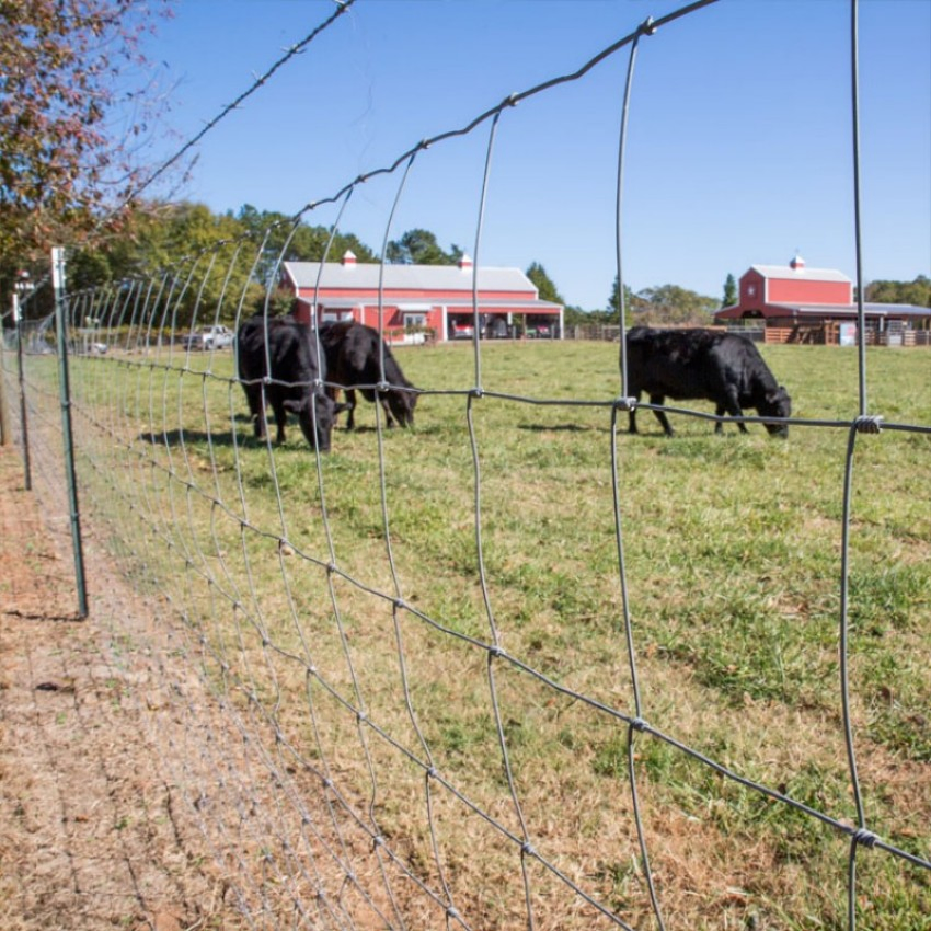 Fixed Knot Woven Wire Field Fence for Cattle and Deer