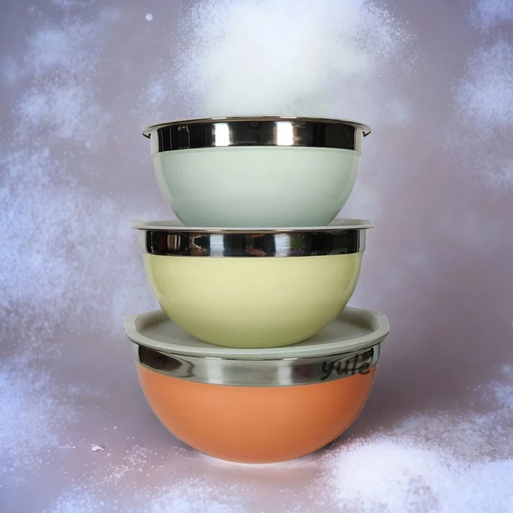 Food Vegetable Soup Bowl Food Container Stainless Steel Salad Bowls with Colorful Painting Mixing Bowls with PE Lid