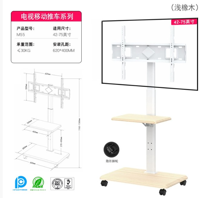 Versatile Conference TV Stand for Streaming and Presentations