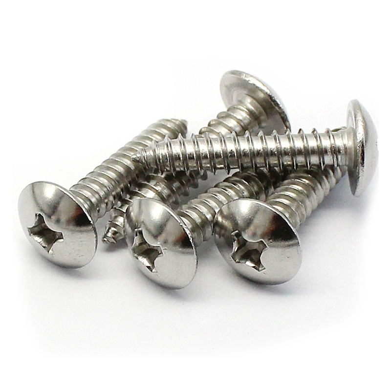 Pwa PWB M6*10 mm Pb PA Carbon Steel White Zinc Plated Stainless Steel 304 316 Pan Head Phil Recessed Metal Sheet Screw