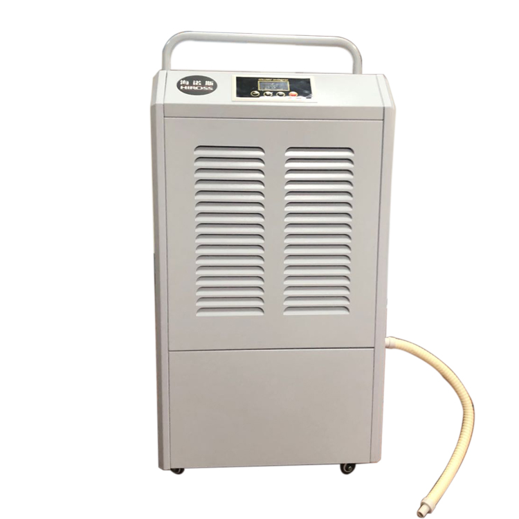 Wall Mount Dehumidifier for Residential Indoor Pool