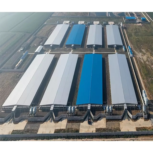 Prefab Steel Structure Poultry Farm Automatic Breeding Chicken Layer Battery Cage Light Cow Cattle Pig Barn Shed Welding Cutting