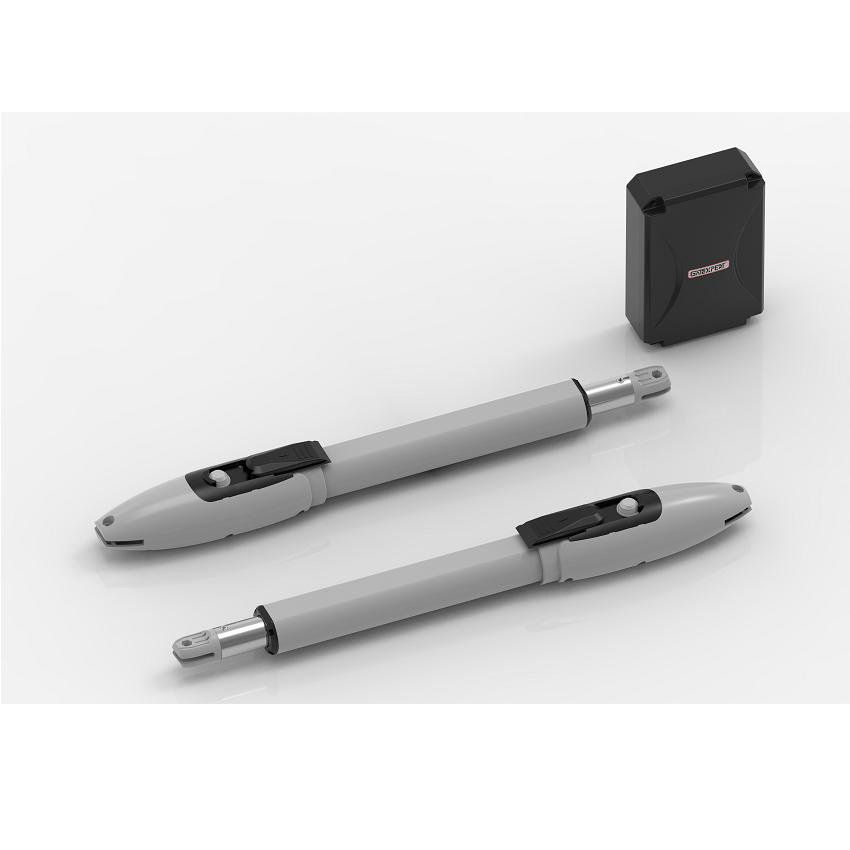 Automatic Systems for Swing Gate