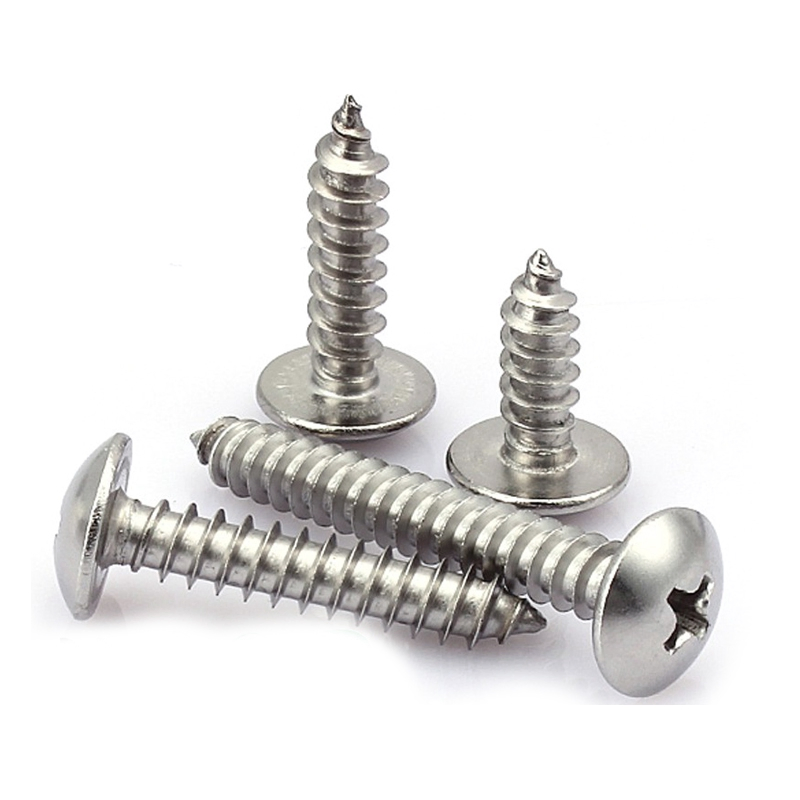 Pwa PWB M6*10 mm Pb PA Carbon Steel White Zinc Plated Stainless Steel 304 316 Pan Head Phil Recessed Metal Sheet Screw