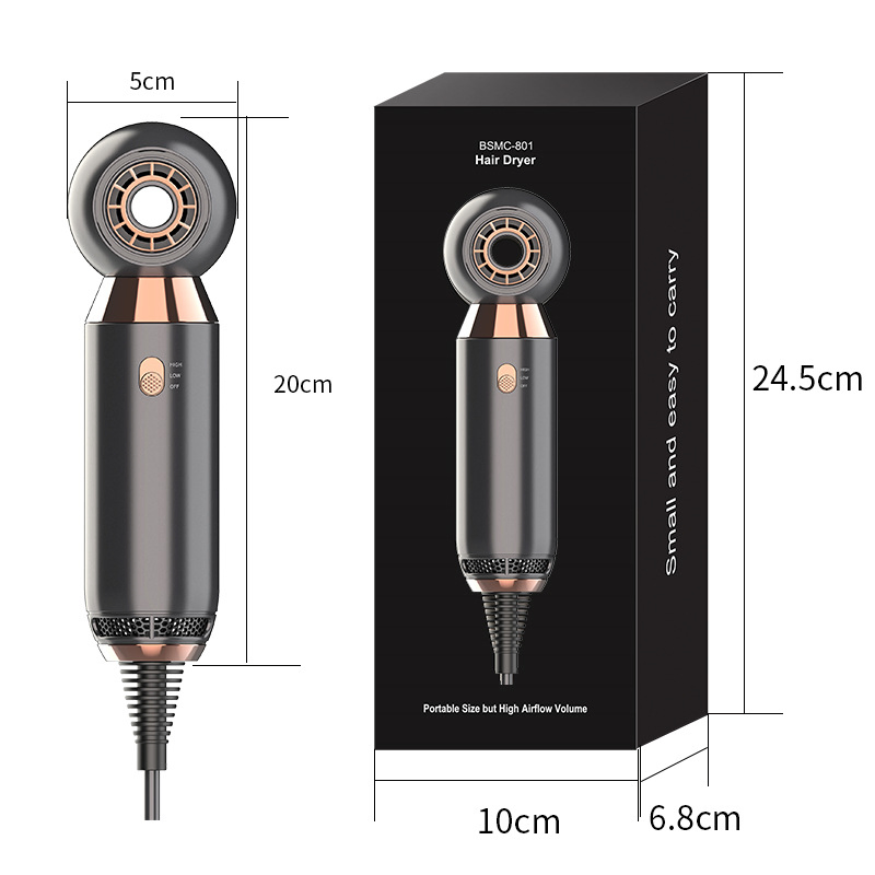 Compact 800W Leafless Hair Dryer for Travel and Hotels