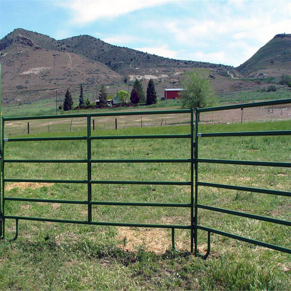Premium Galvanized Horse Fencing Solutions for International Distributors
