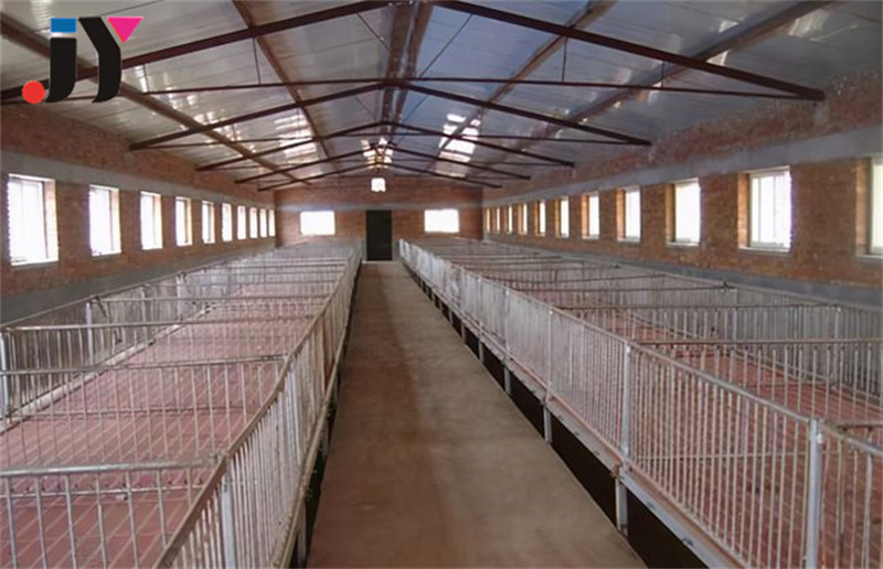 Steel Structure Chicken Farm Building Poultry House Designs Metal Shed Construction